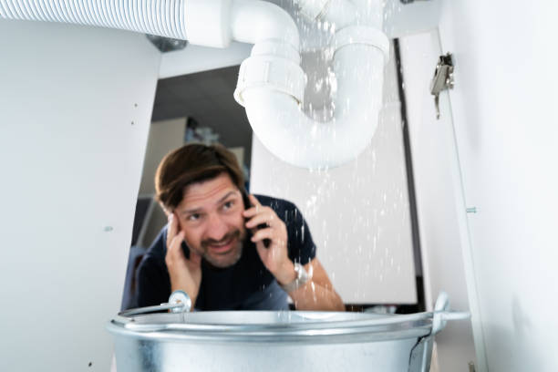 Best Clogged Drain Plumber  in Westwood Lakes, FL